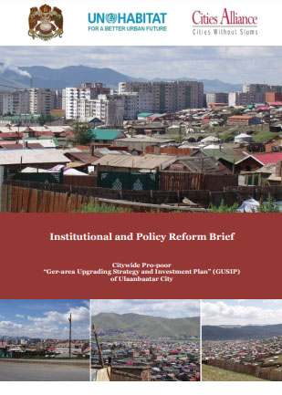 Institutional and Policy Reform Brief