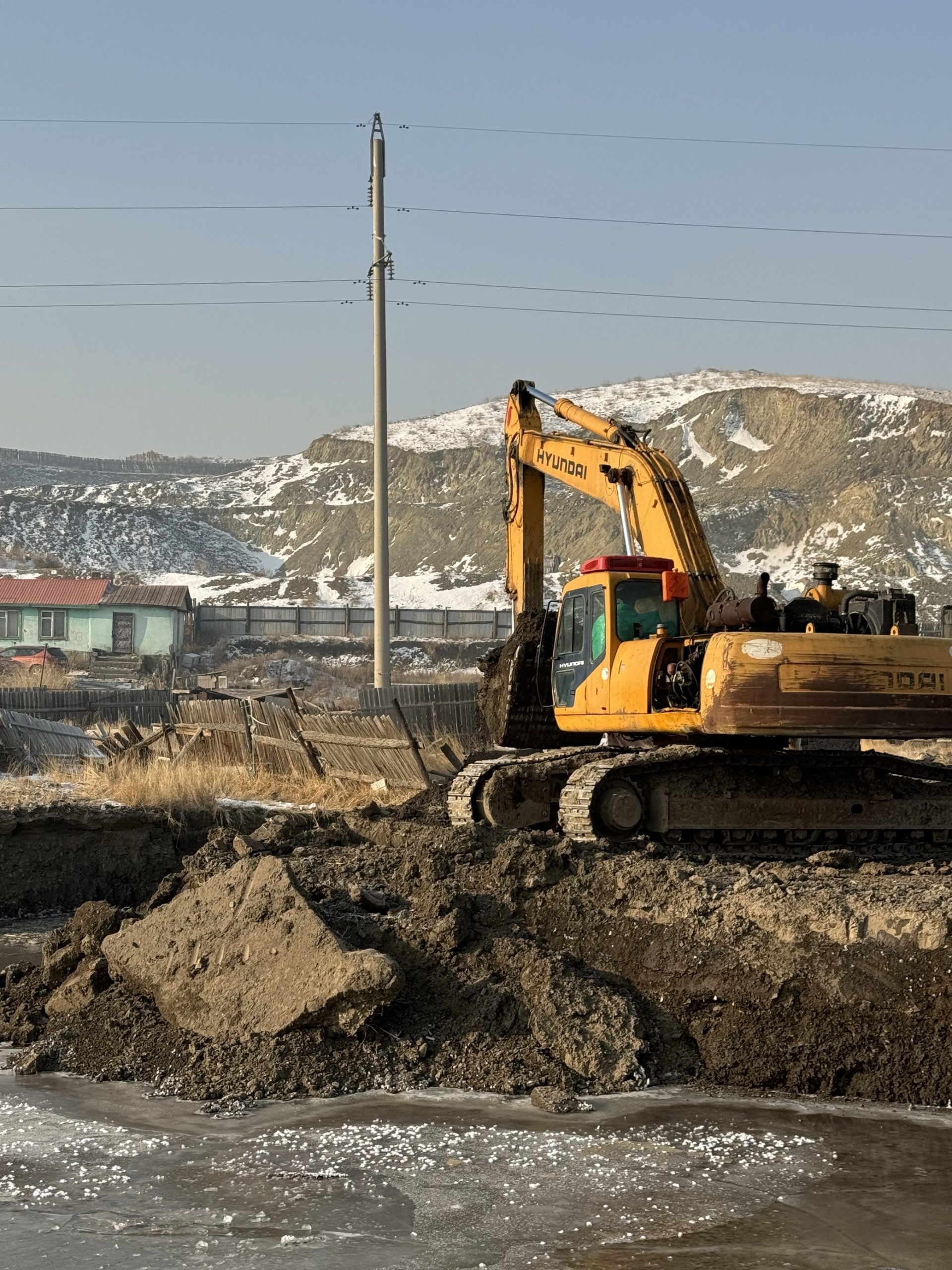 Танилцуулга